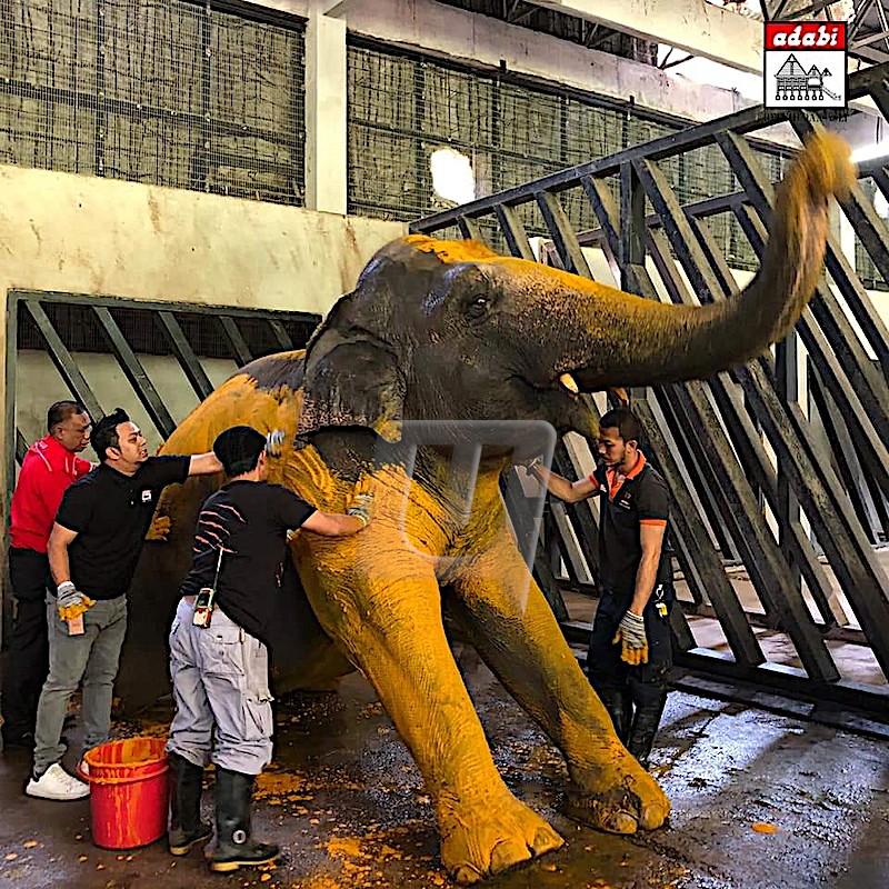 Tun Musa Aman arah siasatan menyeluruh kes Zara Qairina